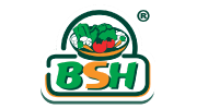 Blatt Salat Hause Constituyentes